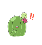 Cactus cactus（個別スタンプ：35）