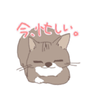 宇宙人と地球人と猫の日常（個別スタンプ：13）