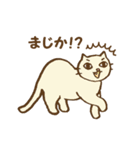 白猫クレーン車（個別スタンプ：19）