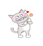 灰白 ねこはち（個別スタンプ：15）