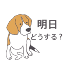 ビーグル犬のビーです。（個別スタンプ：19）