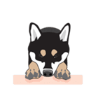 柴犬アキラ（個別スタンプ：27）