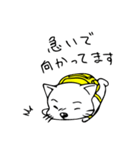 ねこ＆りゅっく（個別スタンプ：19）