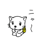 ねこ＆りゅっく（個別スタンプ：38）