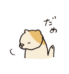 nocomoco animals（個別スタンプ：5）