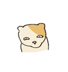 nocomoco animals（個別スタンプ：19）
