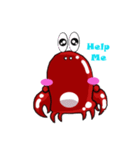 Coco The Cute Crab（個別スタンプ：36）