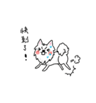 Spitz's life（個別スタンプ：18）