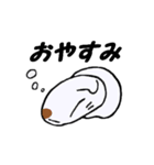 ゴロチャだよ（個別スタンプ：40）