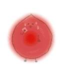 drop's face（個別スタンプ：5）