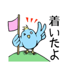 青い鳥くんの日常よく使うセリフ（個別スタンプ：11）