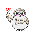 幸フクロウのフー太（個別スタンプ：1）