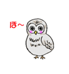 幸フクロウのフー太（個別スタンプ：5）