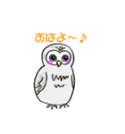 幸フクロウのフー太（個別スタンプ：11）