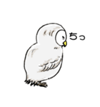 幸フクロウのフー太（個別スタンプ：13）