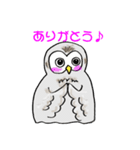 幸フクロウのフー太（個別スタンプ：17）