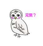 幸フクロウのフー太（個別スタンプ：23）