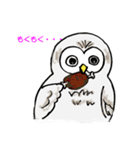 幸フクロウのフー太（個別スタンプ：24）
