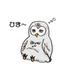 幸フクロウのフー太（個別スタンプ：27）