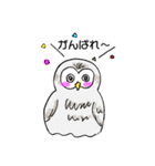 幸フクロウのフー太（個別スタンプ：31）