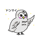 幸フクロウのフー太（個別スタンプ：35）