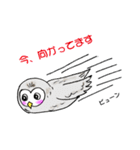 幸フクロウのフー太（個別スタンプ：40）