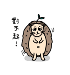 the hedgehog Pabu（個別スタンプ：1）