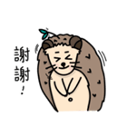the hedgehog Pabu（個別スタンプ：4）