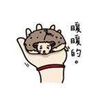 the hedgehog Pabu（個別スタンプ：9）