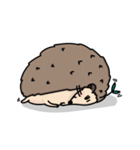 the hedgehog Pabu（個別スタンプ：16）