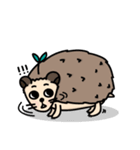 the hedgehog Pabu（個別スタンプ：19）