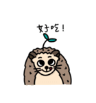 the hedgehog Pabu（個別スタンプ：20）