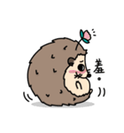 the hedgehog Pabu（個別スタンプ：21）