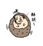 the hedgehog Pabu（個別スタンプ：22）