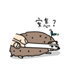the hedgehog Pabu（個別スタンプ：24）