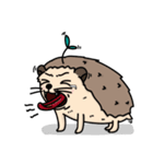 the hedgehog Pabu（個別スタンプ：28）