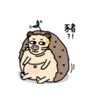 the hedgehog Pabu（個別スタンプ：34）