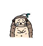 the hedgehog Pabu（個別スタンプ：39）