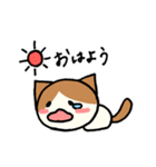 はちわれ猫のくるみちゃん（個別スタンプ：5）