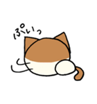 はちわれ猫のくるみちゃん（個別スタンプ：10）