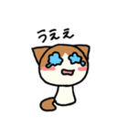 はちわれ猫のくるみちゃん（個別スタンプ：16）