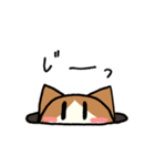 はちわれ猫のくるみちゃん（個別スタンプ：19）