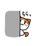 はちわれ猫のくるみちゃん（個別スタンプ：29）