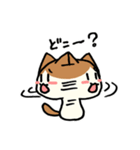 はちわれ猫のくるみちゃん（個別スタンプ：31）