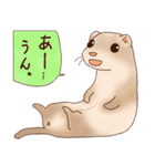 フェレットすたんぷ お返事編（個別スタンプ：1）