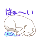 フェレットすたんぷ お返事編（個別スタンプ：5）