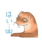フェレットすたんぷ お返事編（個別スタンプ：7）