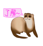 フェレットすたんぷ お返事編（個別スタンプ：8）