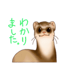 フェレットすたんぷ お返事編（個別スタンプ：9）