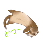 フェレットすたんぷ お返事編（個別スタンプ：11）